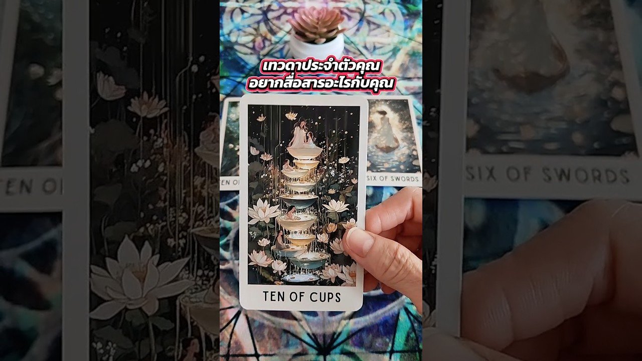 No momento, você está visualizando เทวดาประจำตัวคุณ อยากสื่อสารอะไรกับคุณ #tarot #ไพ่ยิปซี #pickacard #tarotreading #random #ไพ่ทาโร่ต์