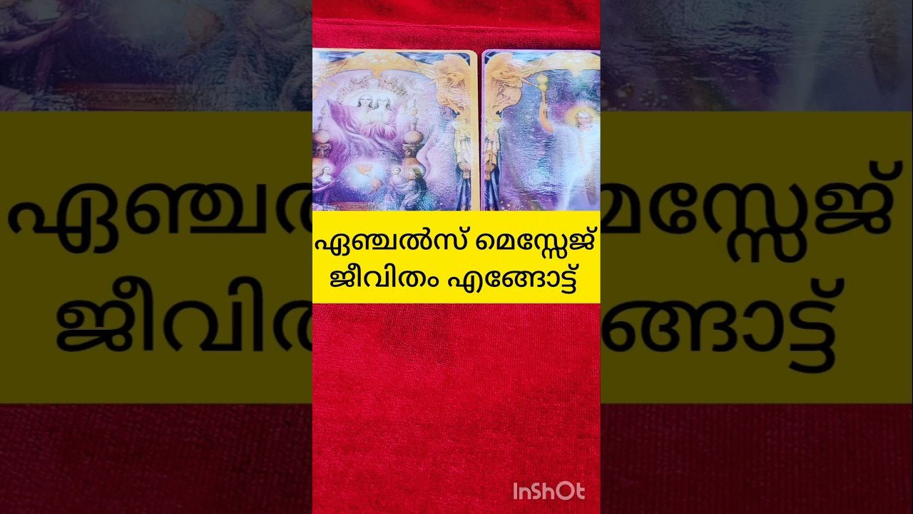 No momento, você está visualizando ജീവിതം എങ്ങോട്ട് #tarot #shortvideo #shortsfeed
