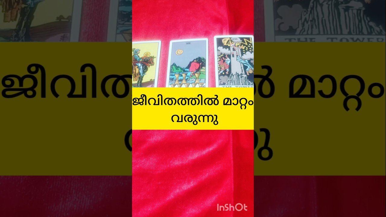 No momento, você está visualizando ജീവിതത്തിൽ മാറ്റം വരുന്നു #tarot #shortsfeed #shortvideo