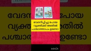 Leia mais sobre o artigo വേദനിപ്പിച്ച വ്യക്തി തിരിച്ച് വരുമോ #tarot #shortsfeed #shortvideo