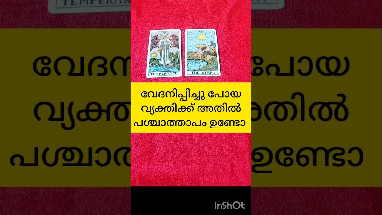 No momento, você está visualizando വേദനിപ്പിച്ച വ്യക്തി തിരിച്ച് വരുമോ #tarot #shortsfeed #shortvideo