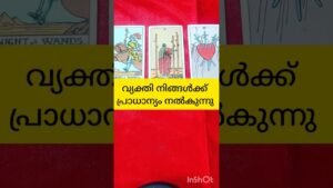 Leia mais sobre o artigo വ്യക്തി നിങ്ങൾക്ക് പ്രാധാന്യം നൽകുന്നു #tarot #shortvideo #shortsfeed