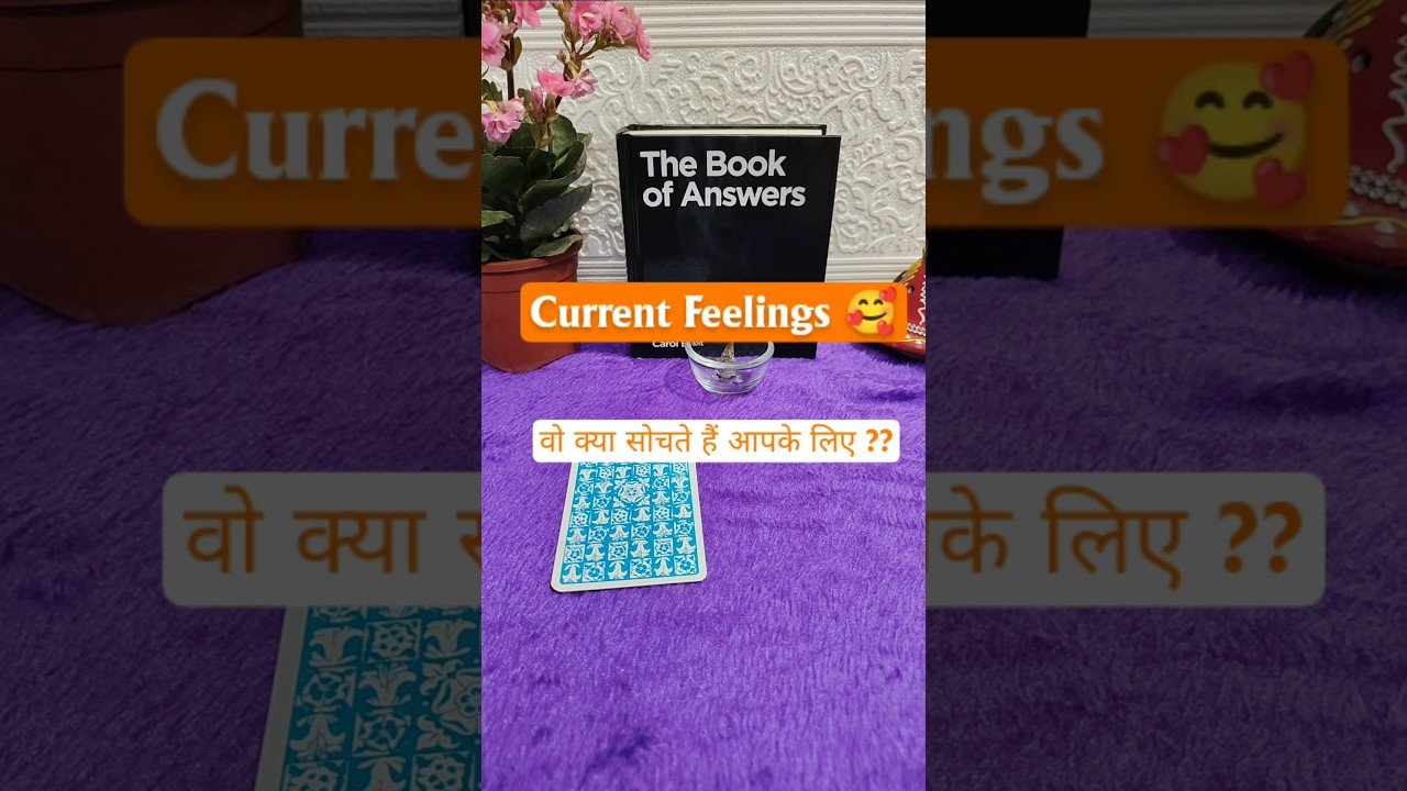 No momento, você está visualizando Current Feelings 💕 #tarot #tarotnumero1111 #ytshorts #currentfeelings #dailyguidance