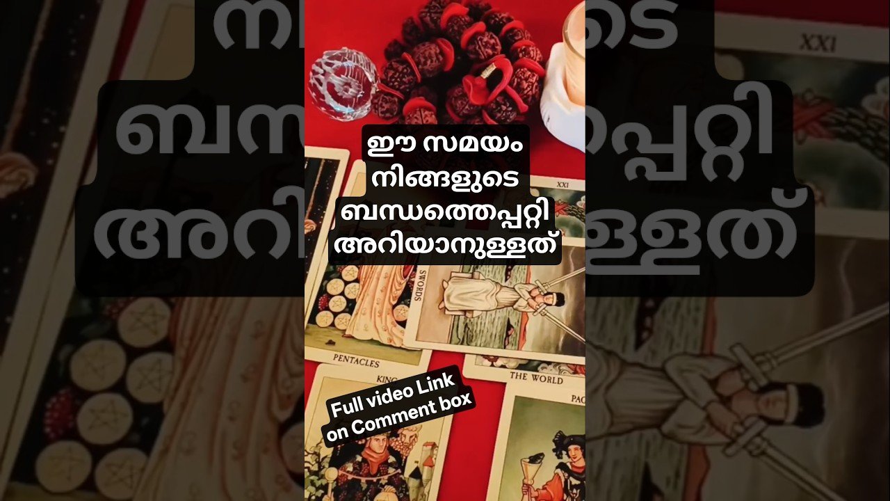 No momento, você está visualizando 🔥Current status of your Relationship🔮💫 #malayalamtarot #shorts #astrology