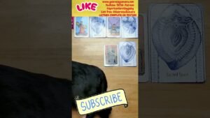 Leia mais sobre o artigo Desde que no esta contigo perdio su chispa #tarot  EXTENDIDA #1227