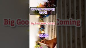 Leia mais sobre o artigo Good News Coming ✴️Tarot Card Reading #tarot #pickacardreading #channeledmessages