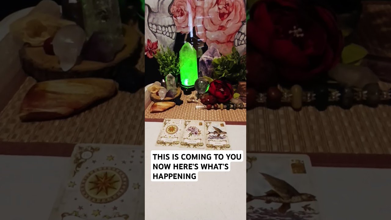 No momento, você está visualizando 💃If you see this video this message is for you #tarot #dailyhoroscope #fyp #fypシ
