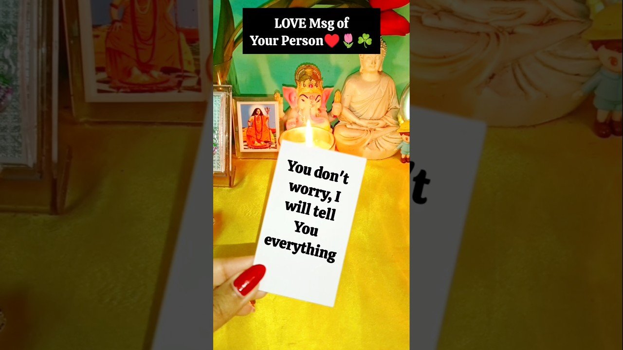 No momento, você está visualizando Love Msg🌹🌿♥️ #tarot #tarotreading #love #soulmate #twinflame #dmtodf #twinflames ‎⁨@Tarot.Speaks