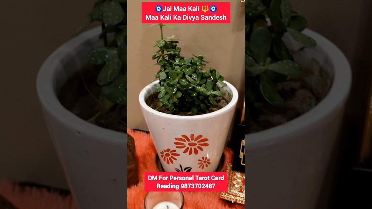 No momento, você está visualizando Maa Kali Ka divya Sandesh #maakali #zentarot #tarot #cardreading #tarotreading #akashicrecords