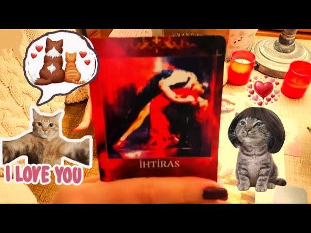No momento, você está visualizando ⁉️🤷♥️🤷‍♀️SENİNLE İLGİLİ NE İSTİYOR?‼️❣🎰#tarot #aklımdakikisi #expartner #platonik