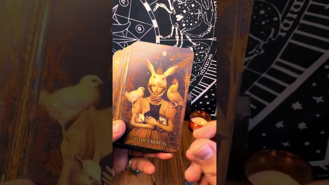 No momento, você está visualizando Taro obzori🧿🪬 #карта #tarot #мастертаро #таро #таромастер