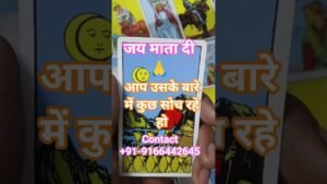 Leia mais sobre o artigo tarot card contact +91-9166442645 #instagram #tarot #tarotreading