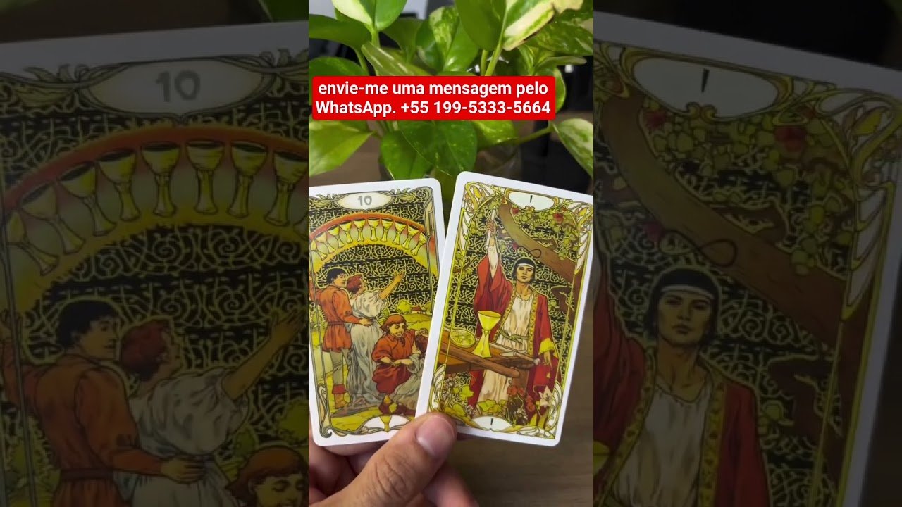 No momento, você está visualizando #tarot #espiritualidade #tarotreading