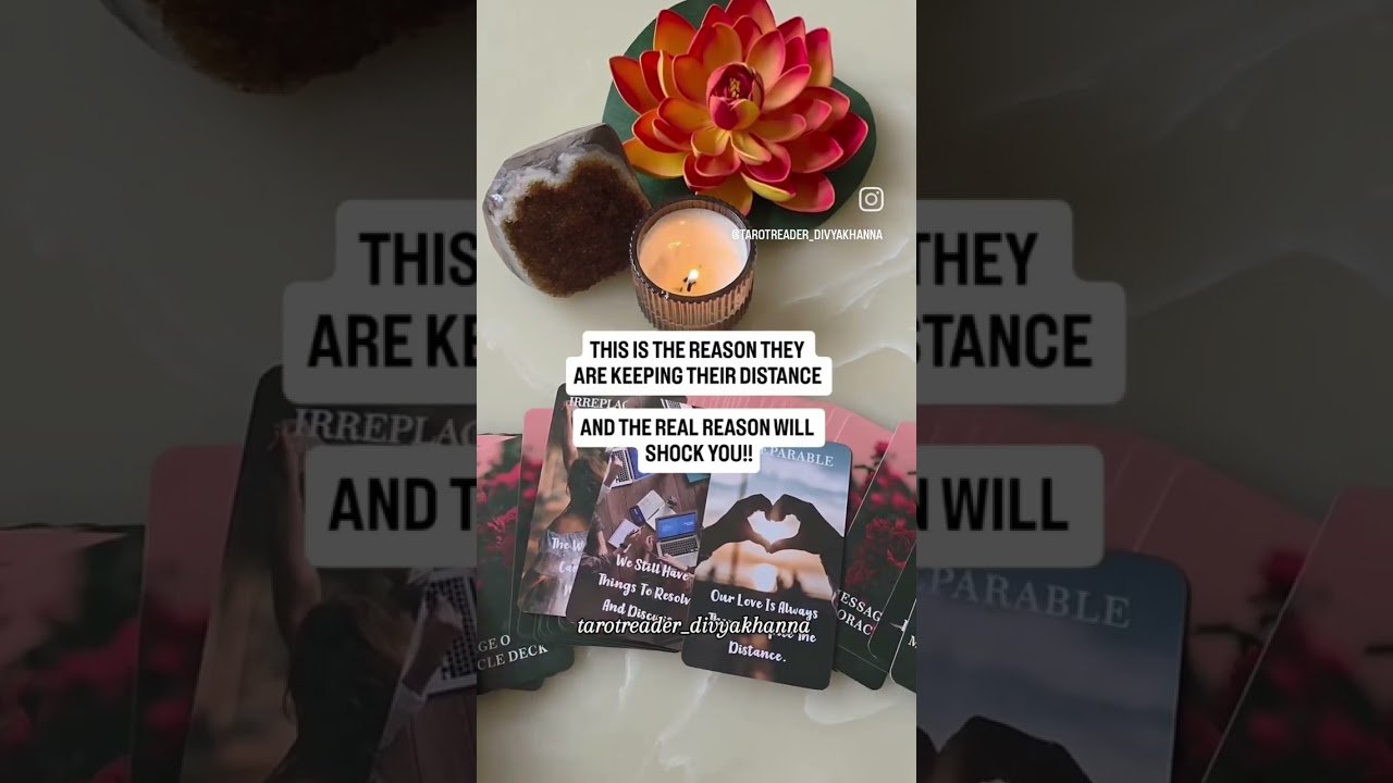 No momento, você está visualizando This is the real reason! #tarot #tarotreading #shortvideo #shorts #lovereading
