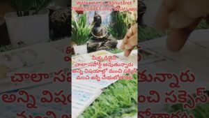 Leia mais sobre o artigo universe మీకు పంపించిన మెసేజ్ ఏంటో తెలుసా #tarot #fortunetelling