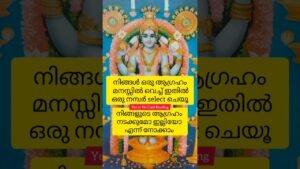 Leia mais sobre o artigo yes or No card reading #tarot #malayalamtarot #111 #777 #universalenergy #yesornotarot