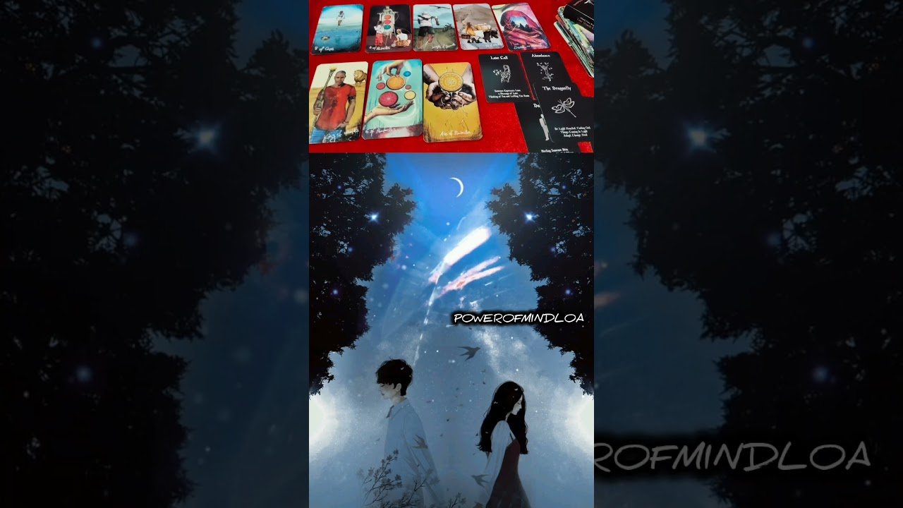 No momento, você está visualizando your person current feeling #powerofmindloa #lovereading #tarot #manifestation