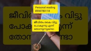 Leia mais sobre o artigo ജീവിതം കൈ വിട്ടു പോയിഎന്ന് തോന്നുന്നുവോ🙏#timelessreading #collectivereading#tarot #collectivereading