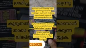 Leia mais sobre o artigo ഈ മാസം തന്നെ അവർ നിങ്ങളുടെ അടുത്തേക്ക് തിരിച്ചു വരുമോ #lovetarot #tarot
