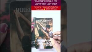 Leia mais sobre o artigo কে তোমাকে আজও চায় কেনো চায়? কেন চায়? #currentfeelings #tarot #tarotreadi #shortsvedio #reels