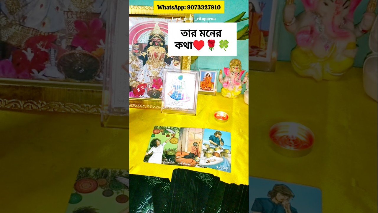 No momento, você está visualizando তার মনের কথা🌹♥️🌿 #tarot #tarotshorts #banglatarot #soulmate #tarot #love ‎@tarot_guide_rituparna