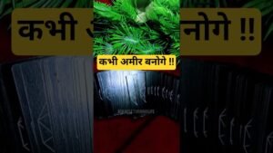 Leia mais sobre o artigo कभी अमीर बनोगे #tarot #tarotreading #astrology #trending #viral #luxury #love #motivation #shorts