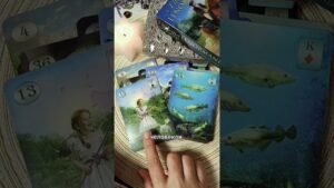 Leia mais sobre o artigo #лунушка #таро #tarot