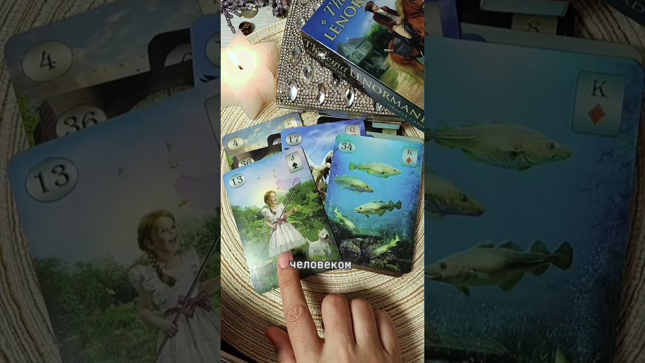 No momento, você está visualizando #лунушка #таро #tarot