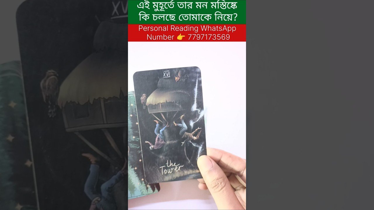 No momento, você está visualizando এই মুহূর্তে তার মন মস্তিষ্কে কি চলছে তোমাকে নিয়ে? #currentfeelings #tarot #bengalitarotreading