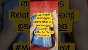 Leia mais sobre o artigo ഏതാണ് താങ്കളുടെ Relationship Guidance #tarotmalayalam #relationshiptarotmalayalam #tarot