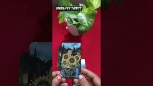 Leia mais sobre o artigo നിങ്ങൾ ആഗ്രഹിക്കുന്ന കാര്യം നടക്കുമോ #tarotreading #tarot