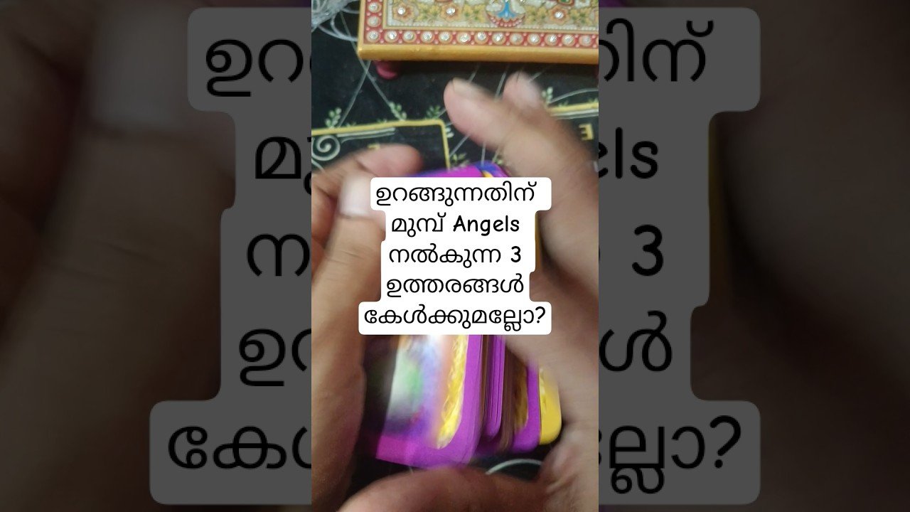 No momento, você está visualizando ഉറങ്ങുന്നതിന് മുമ്പ് Angels നൽകുന്ന 3 ഉത്തരങ്ങൾ #angeloracle #malayalmtarotreading #tarot