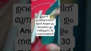 Leia mais sobre o artigo ഉറങ്ങുന്നതിന് മുമ്പ് കേൾക്കൂ ഈ സന്ദേശങ്ങൾ #angeloracle #malayalmtarotreading #tarot