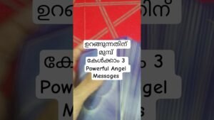 Leia mais sobre o artigo ഉറങ്ങുന്നതിന് മുമ്പ് കേൾക്കൂ ഈ Angel Messages #angeloracle #malayalmtarotreading #tarot