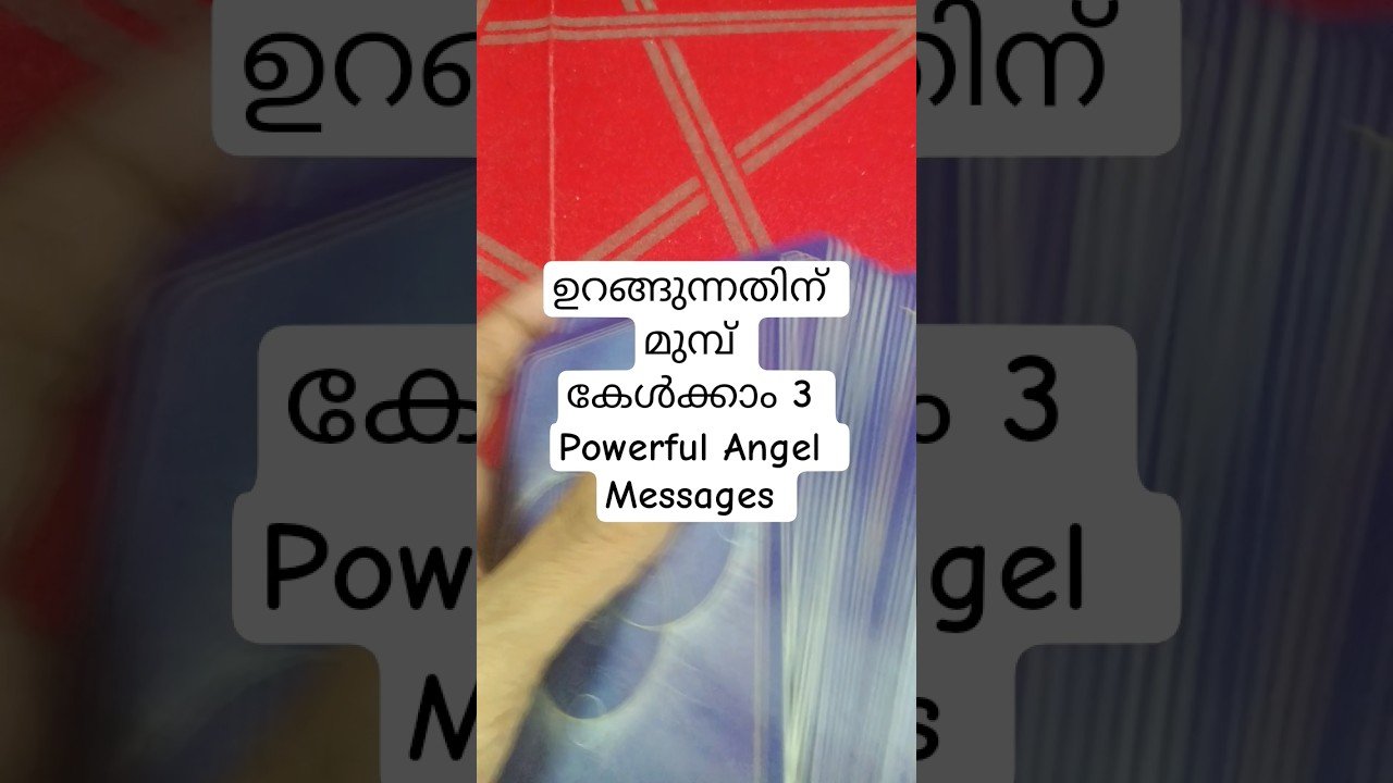 No momento, você está visualizando ഉറങ്ങുന്നതിന് മുമ്പ് കേൾക്കൂ ഈ Angel Messages #angeloracle #malayalmtarotreading #tarot