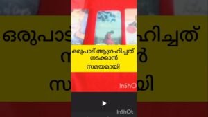Leia mais sobre o artigo ആഗ്രഹിച്ചത് നടക്കാൻ #tarot #shortsfeed #shortvideo