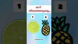 Leia mais sobre o artigo ഒന്ന് തിരഞ്ഞെടുക്കുക #chooseone #tarrotreading #prediction #personalitytest #tarot #jyothisham #love