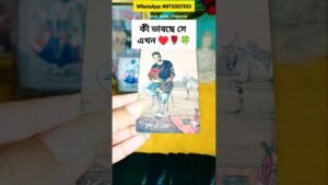 Leia mais sobre o artigo কী ভাবছে সে এখন🌹♥️🌿 #tarot #tarotshorts #banglatarot #soulmate #love ‎@tarot_guide_rituparna