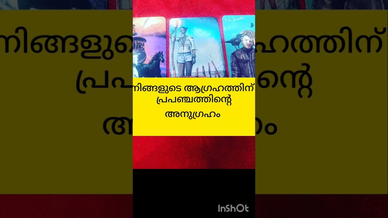 No momento, você está visualizando പ്രപഞ്ചത്തിന്റെ അനുഗ്രഹം #tarot #shortvideo #shortsfeed
