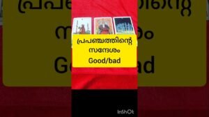 Leia mais sobre o artigo പ്രപഞ്ചത്തിന്റെ സന്ദേശം #tarot #shortsfeed #shortvideo