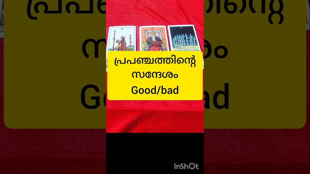 No momento, você está visualizando പ്രപഞ്ചത്തിന്റെ സന്ദേശം #tarot #shortsfeed #shortvideo