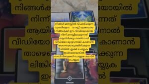 Leia mais sobre o artigo അവരുടെ മനസ്സ് തുറന്ന പുസ്തകം പോലെ ഈ വീഡിയോ വിളിച്ചുപറയും #lovetarot #tarot