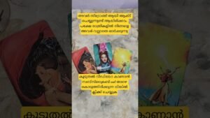 Leia mais sobre o artigo അവരുടെ രാത്രികാലങ്ങളിലെ ചിന്ത #tarot #lovetarot #whatscomingupinlovelife