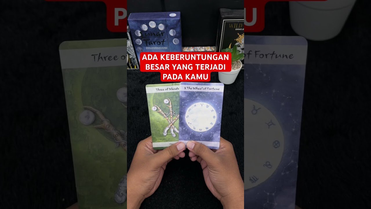 No momento, você está visualizando ADA KEBERUNTUNGAN BESAR YANG TERJADI PADA KAMU #tarot #tarotreading
