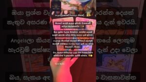 Leia mais sobre o artigo ​Angelsලාගෙන් ඔයාට ලැබුණු හදිසි පණිවිඩය! 👼✨ #tarotreading #tarot #universe