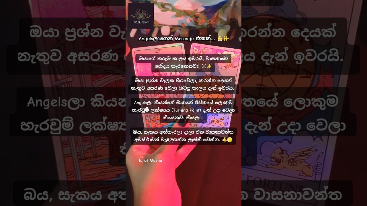 No momento, você está visualizando ​Angelsලාගෙන් ඔයාට ලැබුණු හදිසි පණිවිඩය! 👼✨ #tarotreading #tarot #universe