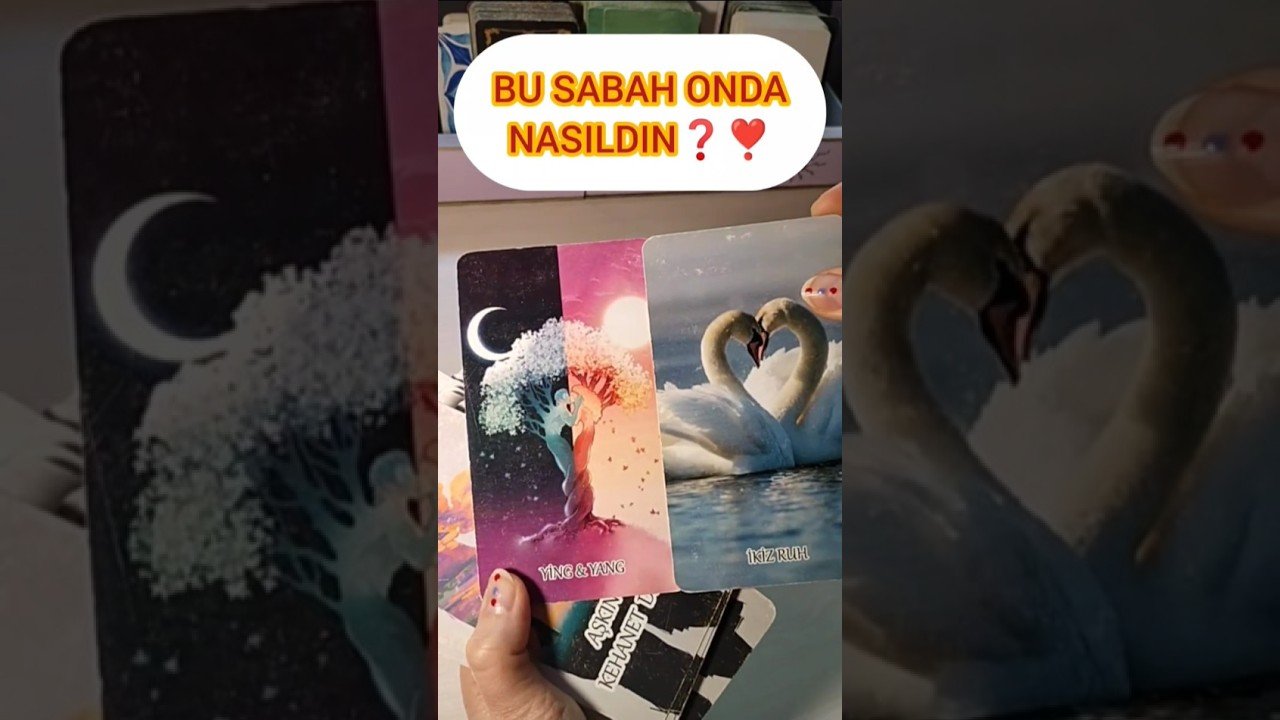 No momento, você está visualizando BU SABAH ONUN KALBİNDE ZİHNİNDE NASILDIN ❓❣️ #tarot #tarotreading