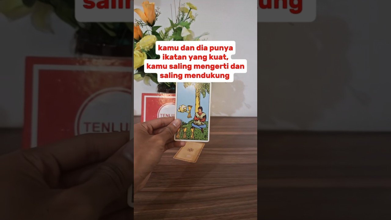 No momento, você está visualizando cinta sejati datang menghampirimu #tarot #tarotcards #tarotreader