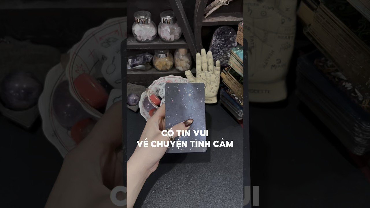 No momento, você está visualizando Có tin vui về chuyện tình cảm #tarot #duongtarot #tarotreels #tarotvietnam #tarotonline #tinhyeu