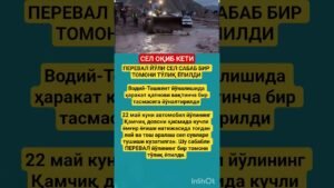 Leia mais sobre o artigo СЎНГГИ ХАБАРЛАР: Куннинг асосий воқеалари#rek #love #tarot #automobile#azob#aviation#news#memes